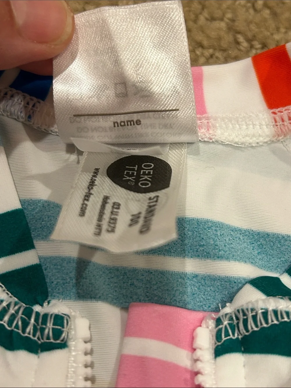 Hanna Andersson Multicolor Striped Zipper Rash Guard